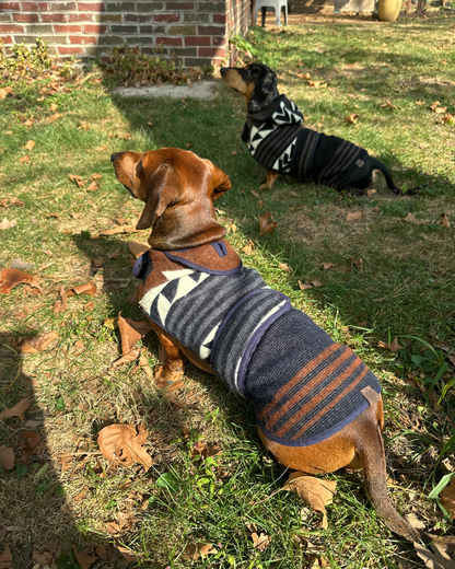 Wiener Dog Allpa Non - Hooded Poncho