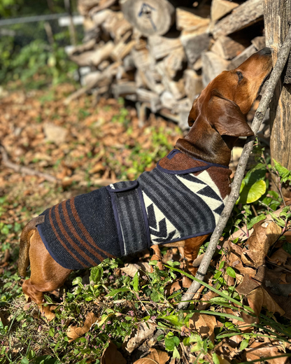 Wiener Dog Allpa Non - Hooded Poncho