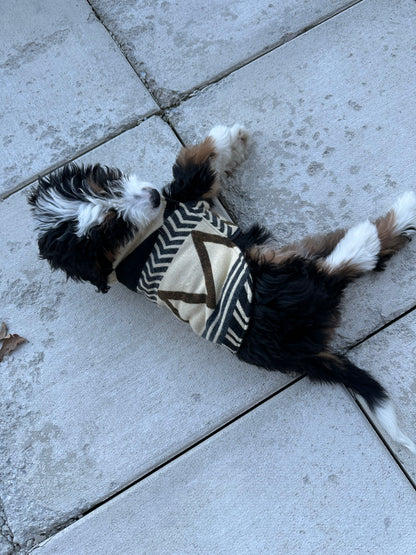 Poncho para mascotas