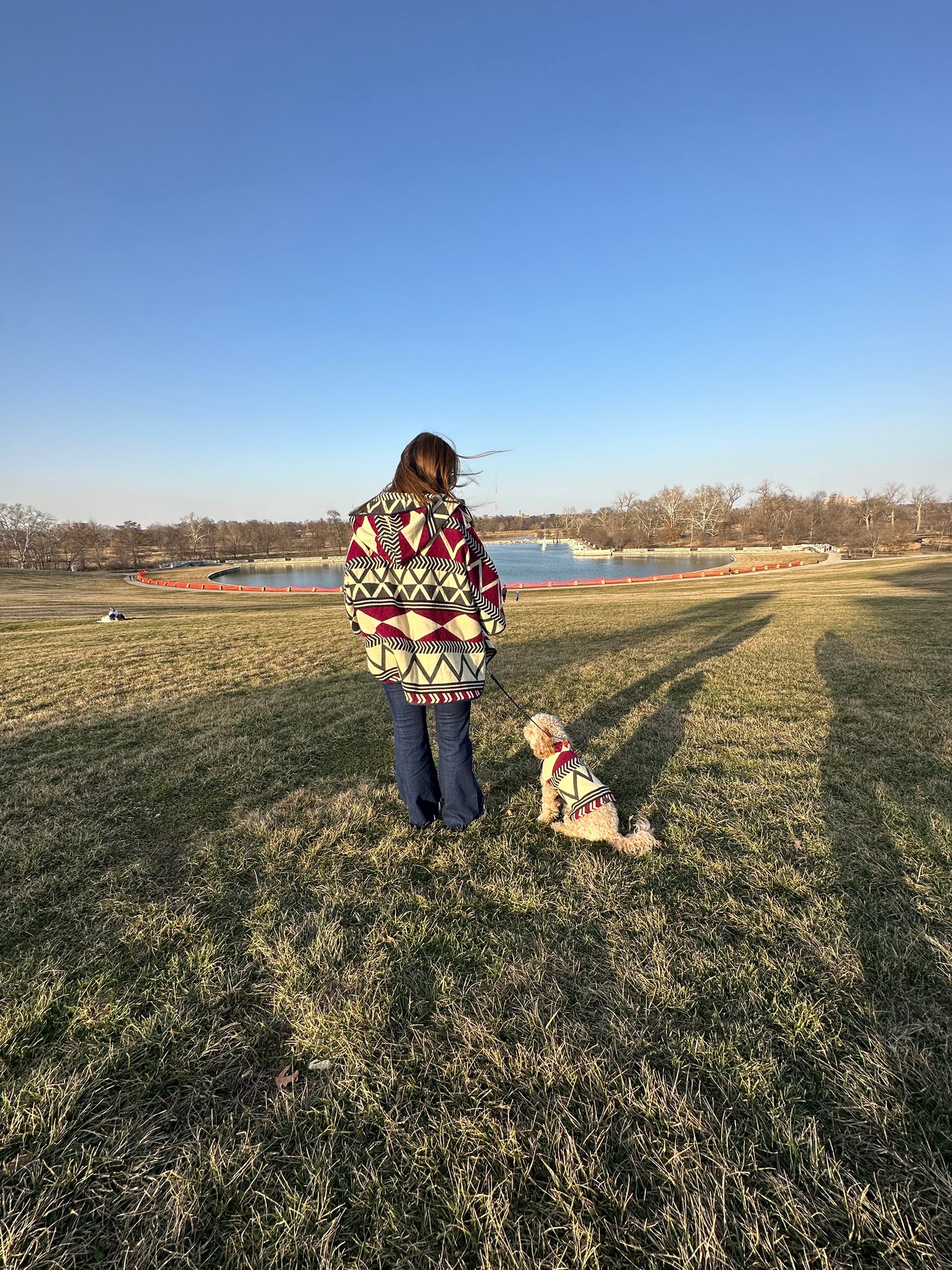 Pet Poncho