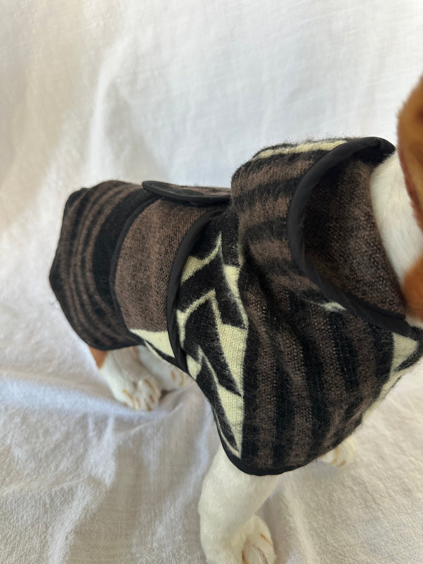 Wiener Dog Allpa Hooded Poncho