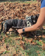 Wiener Dog Allpa Hooded Poncho