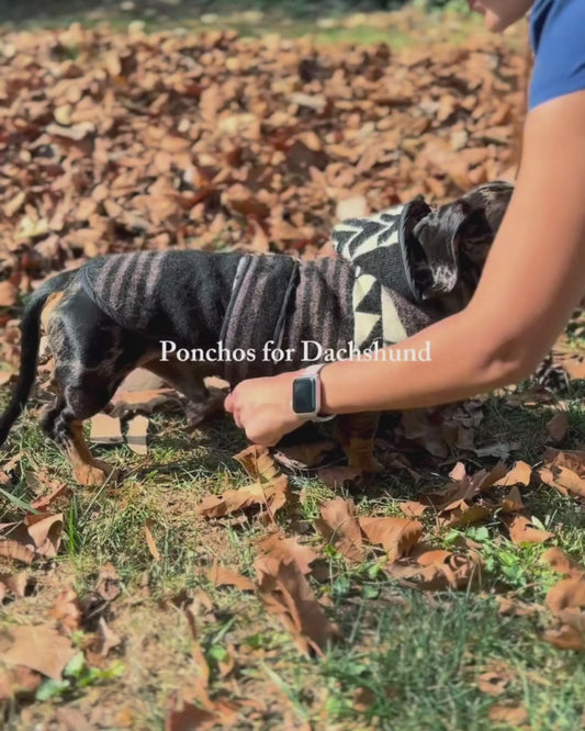 Wiener Dog Allpa Hooded Poncho