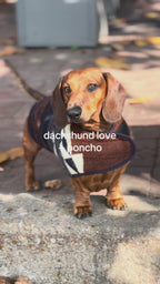 Wiener Dog Allpa Non - Hooded Poncho