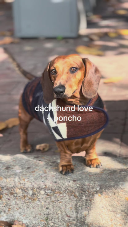 Wiener Dog Allpa Non - Hooded Poncho