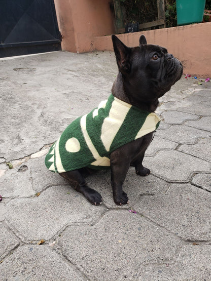 Poncho para mascotas