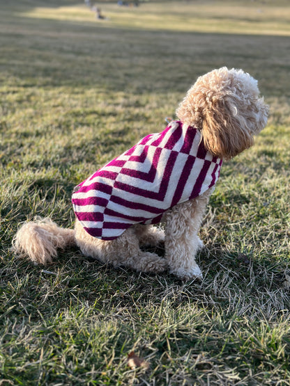 Ponchos para mascotas RAYMI